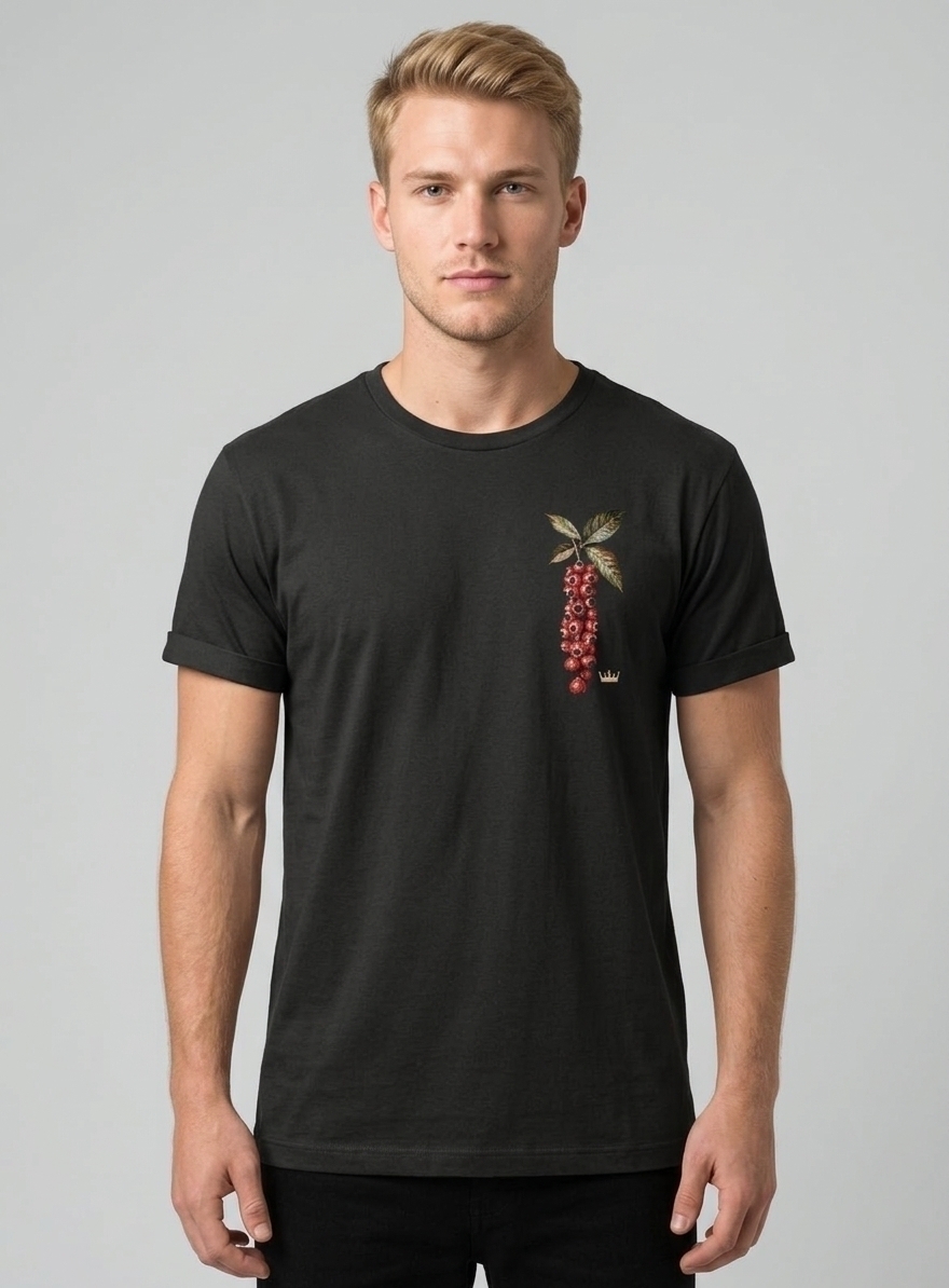Camiseta Osklen