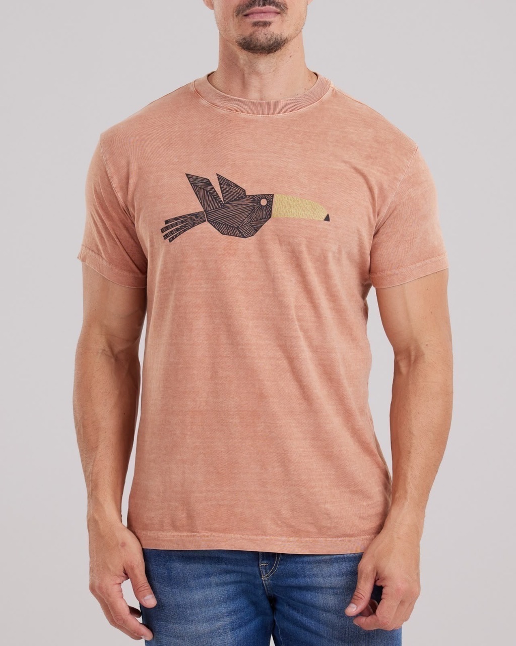 Camiseta Osklen