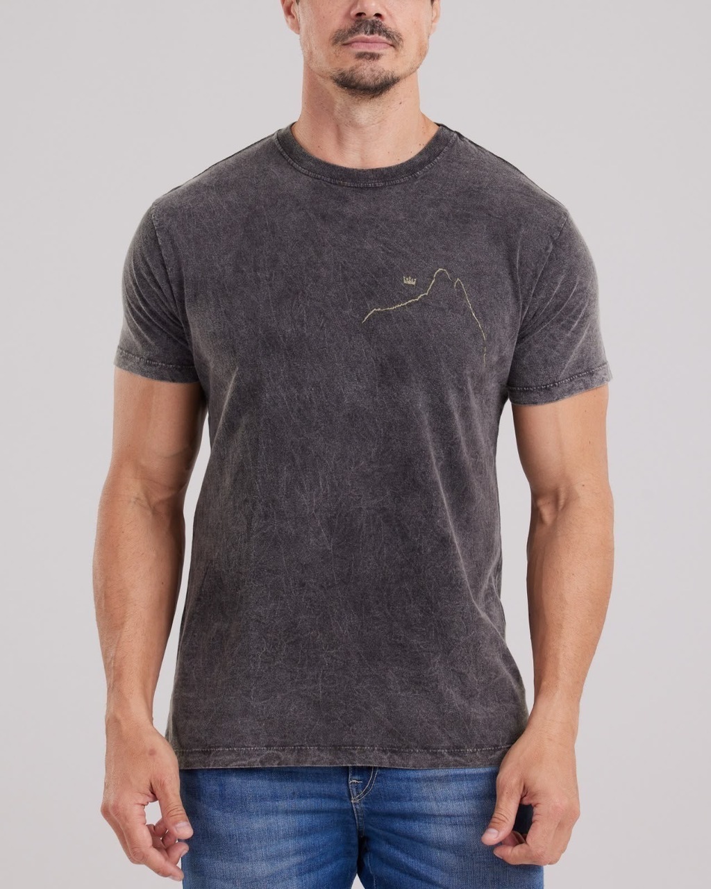 Camiseta Osklen