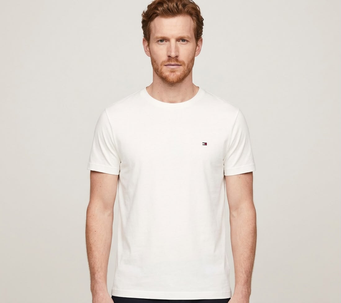 Camiseta Tommy Basica