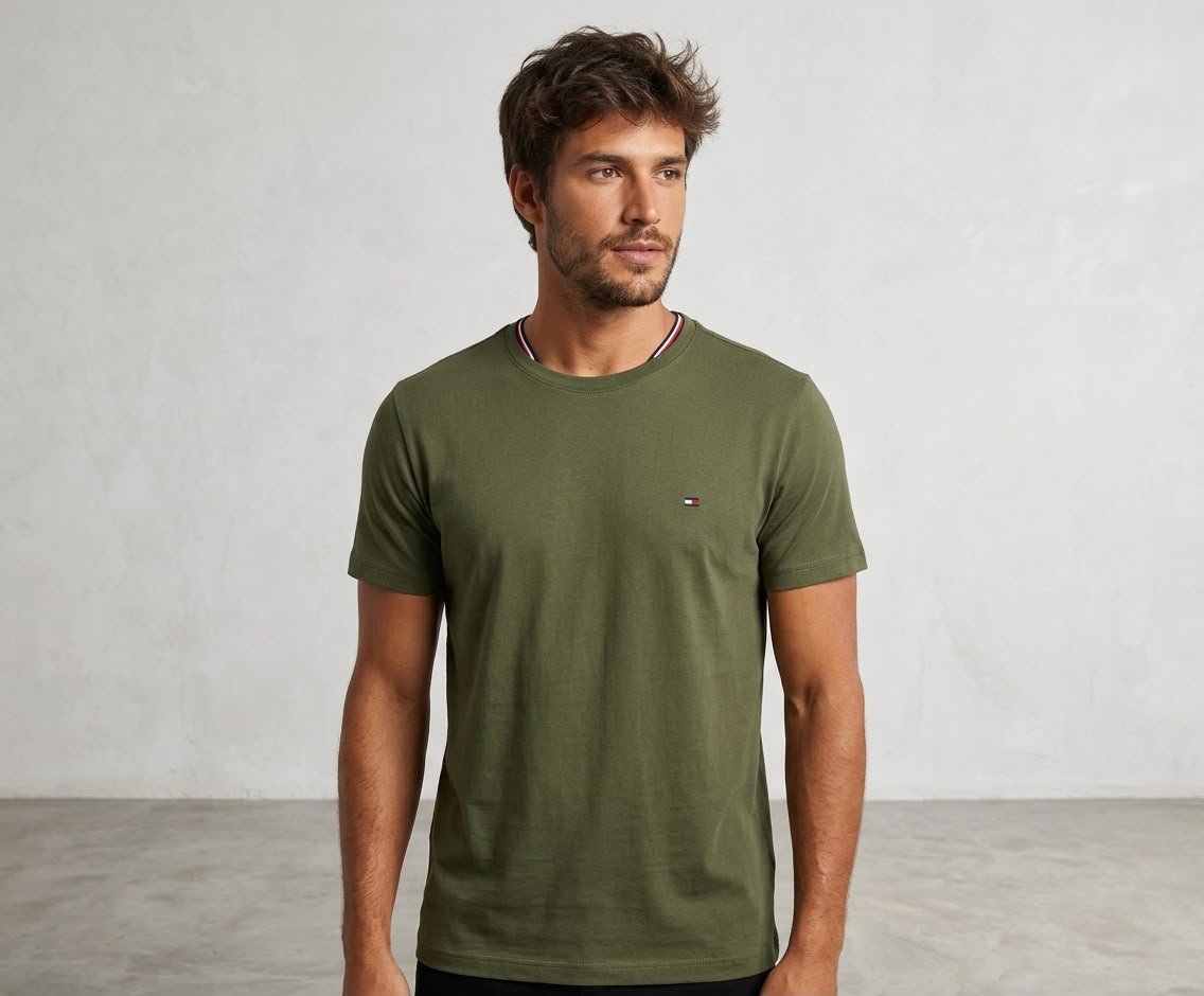 Camiseta Tommy Basica